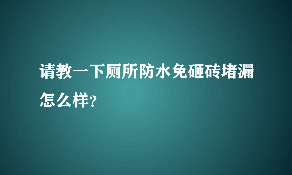 请教一下厕所防水免砸砖堵漏怎么样？