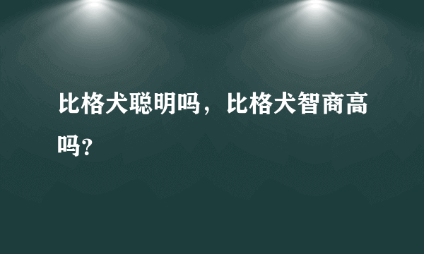 比格犬聪明吗，比格犬智商高吗？