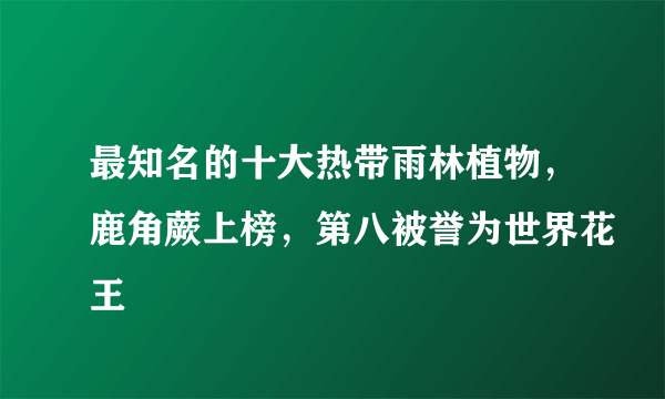 最知名的十大热带雨林植物，鹿角蕨上榜，第八被誉为世界花王