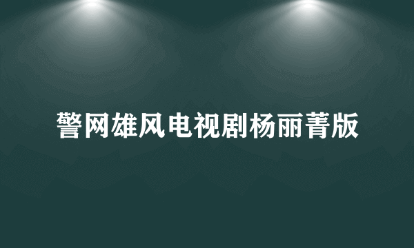 警网雄风电视剧杨丽菁版