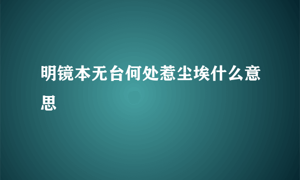 明镜本无台何处惹尘埃什么意思