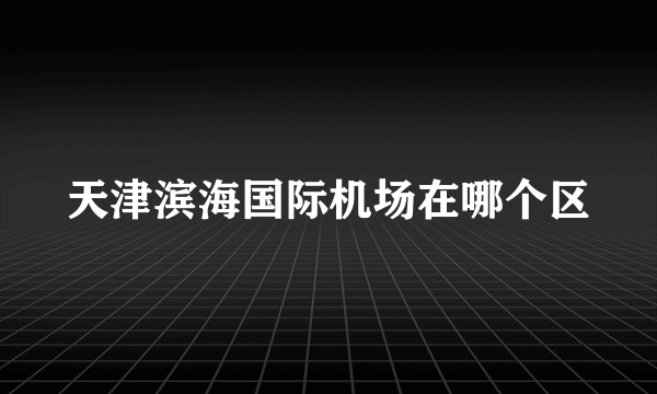 天津滨海国际机场在哪个区