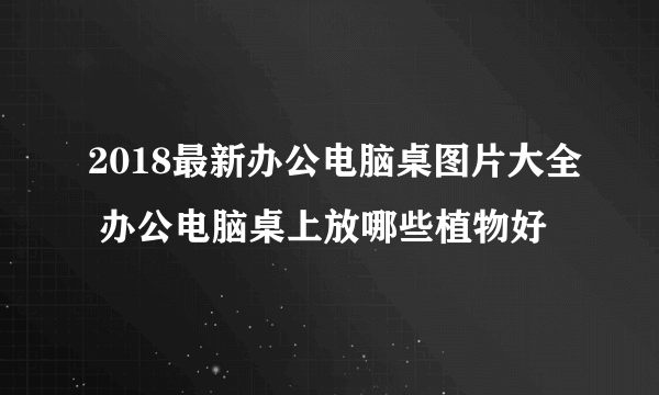 2018最新办公电脑桌图片大全 办公电脑桌上放哪些植物好