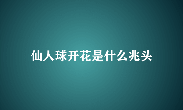 仙人球开花是什么兆头