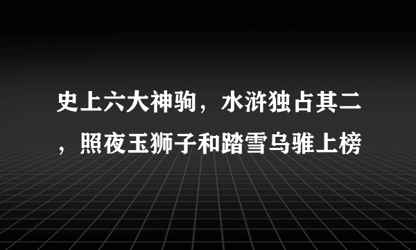 史上六大神驹，水浒独占其二，照夜玉狮子和踏雪乌骓上榜