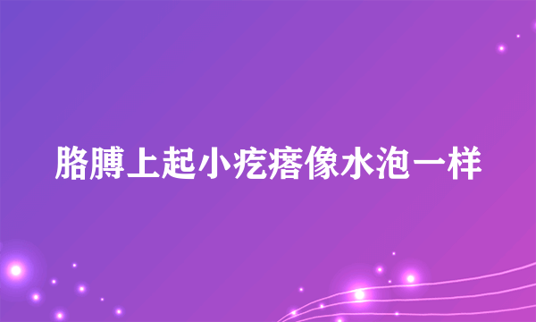 胳膊上起小疙瘩像水泡一样