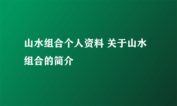 山水组合个人资料 关于山水组合的简介