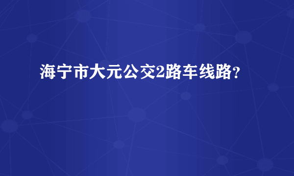 海宁市大元公交2路车线路？