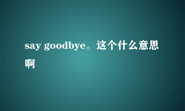 say goodbye。这个什么意思啊