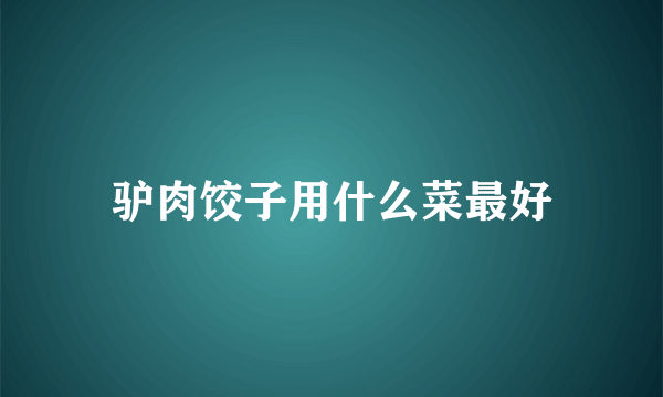 驴肉饺子用什么菜最好