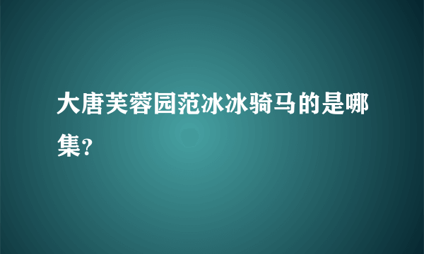 大唐芙蓉园范冰冰骑马的是哪集？