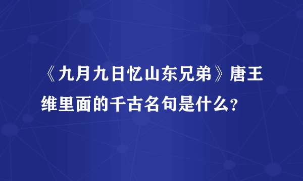 《九月九日忆山东兄弟》唐王维里面的千古名句是什么？