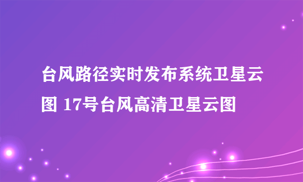 台风路径实时发布系统卫星云图 17号台风高清卫星云图