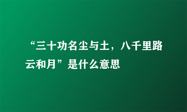 “三十功名尘与土，八千里路云和月”是什么意思