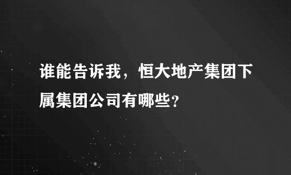 谁能告诉我，恒大地产集团下属集团公司有哪些？