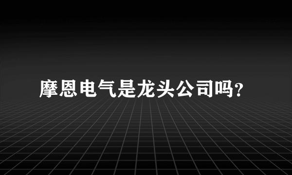 摩恩电气是龙头公司吗？