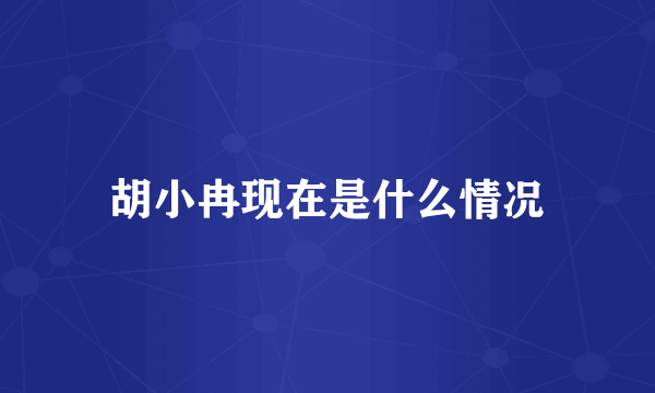 胡小冉现在是什么情况