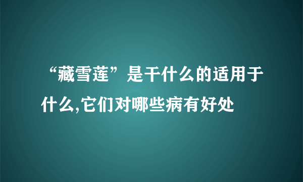 “藏雪莲”是干什么的适用于什么,它们对哪些病有好处