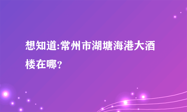 想知道:常州市湖塘海港大酒楼在哪？