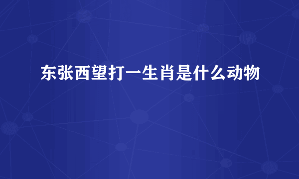 东张西望打一生肖是什么动物