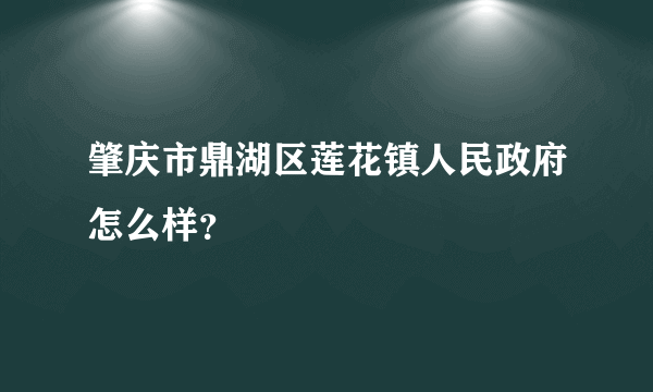 肇庆市鼎湖区莲花镇人民政府怎么样？