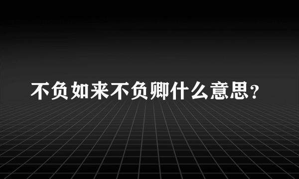 不负如来不负卿什么意思？