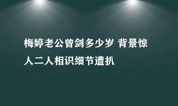 梅婷老公曾剑多少岁 背景惊人二人相识细节遭扒