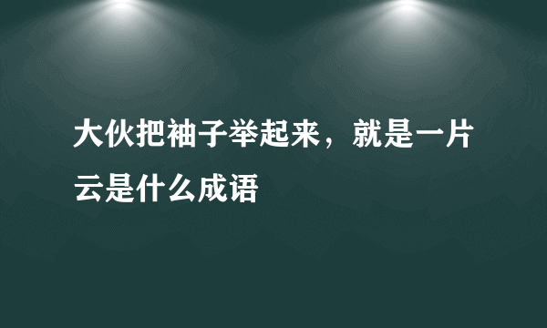 大伙把袖子举起来，就是一片云是什么成语