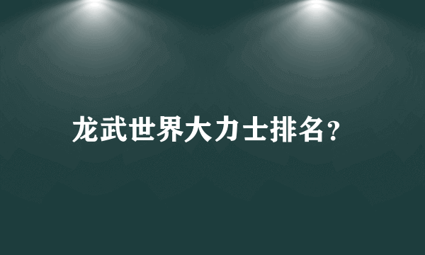 龙武世界大力士排名？