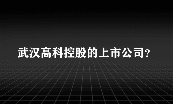 武汉高科控股的上市公司？