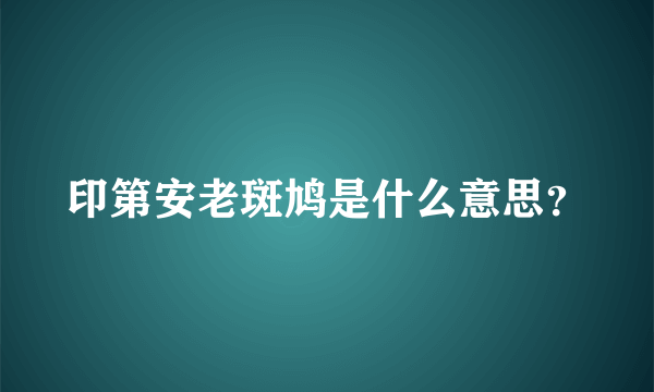 印第安老斑鸠是什么意思？