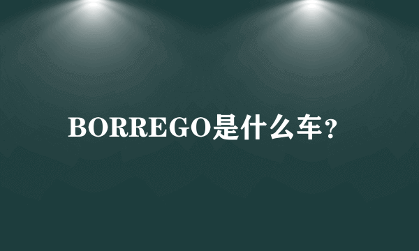 BORREGO是什么车？