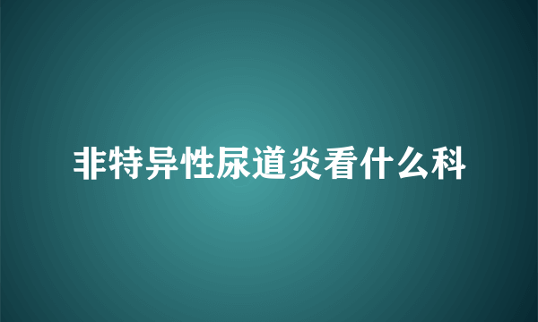 非特异性尿道炎看什么科