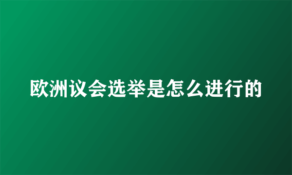 欧洲议会选举是怎么进行的