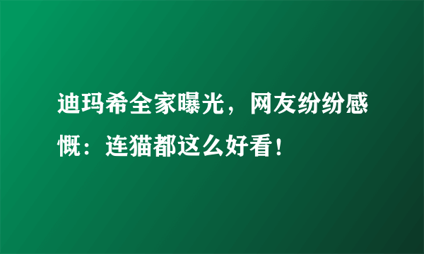 迪玛希全家曝光，网友纷纷感慨：连猫都这么好看！