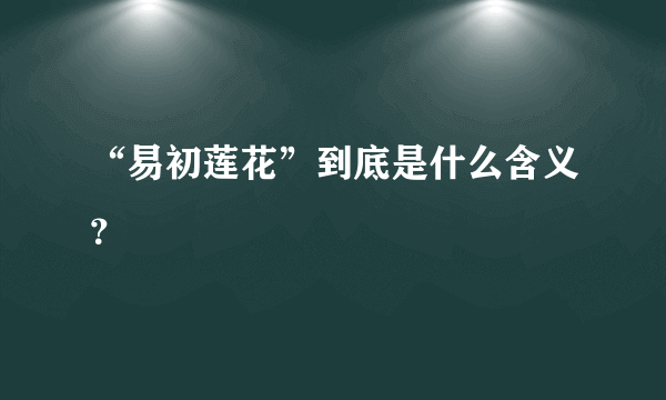 “易初莲花”到底是什么含义？