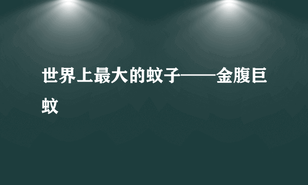 世界上最大的蚊子——金腹巨蚊