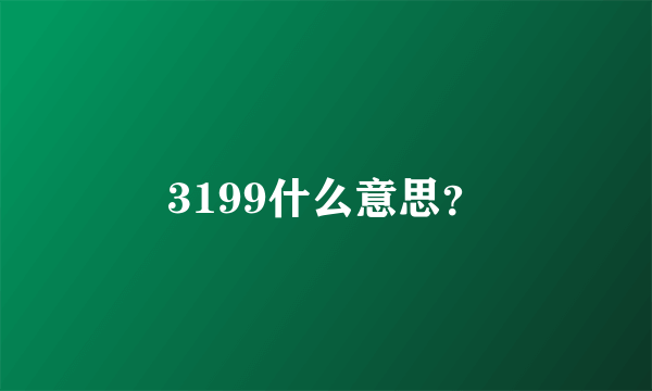 3199什么意思？