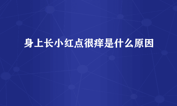 身上长小红点很痒是什么原因