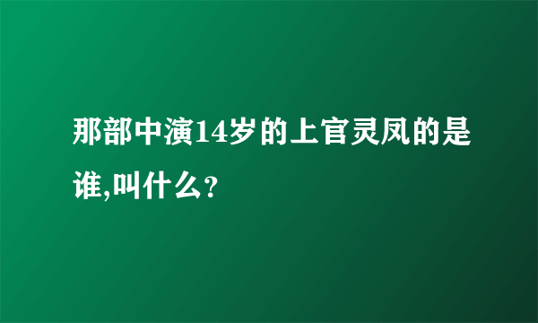 那部中演14岁的上官灵凤的是谁,叫什么？