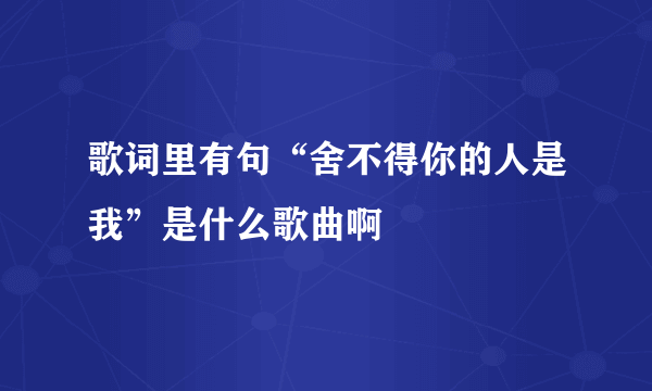 歌词里有句“舍不得你的人是我”是什么歌曲啊