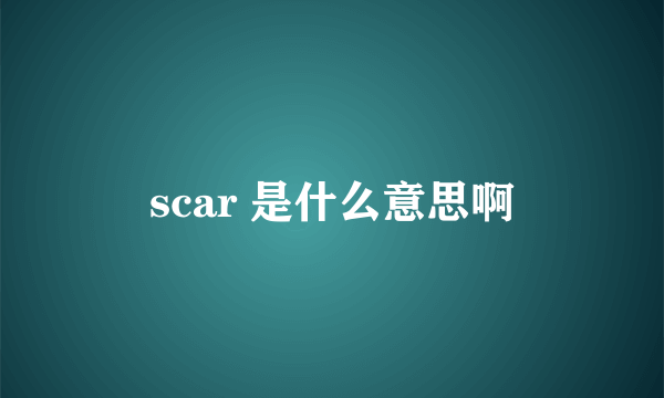 scar 是什么意思啊