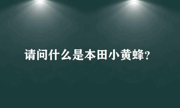 请问什么是本田小黄蜂？