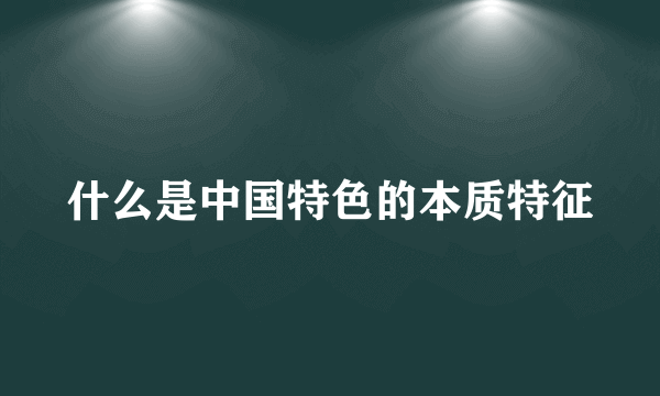 什么是中国特色的本质特征