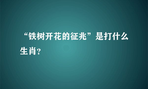 “铁树开花的征兆”是打什么生肖？