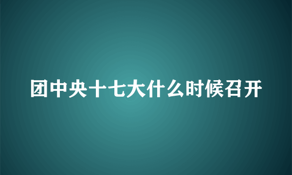 团中央十七大什么时候召开