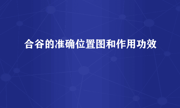 合谷的准确位置图和作用功效