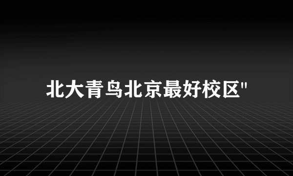 北大青鸟北京最好校区