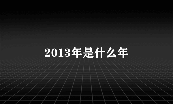 2013年是什么年