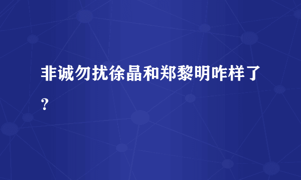 非诚勿扰徐晶和郑黎明咋样了？